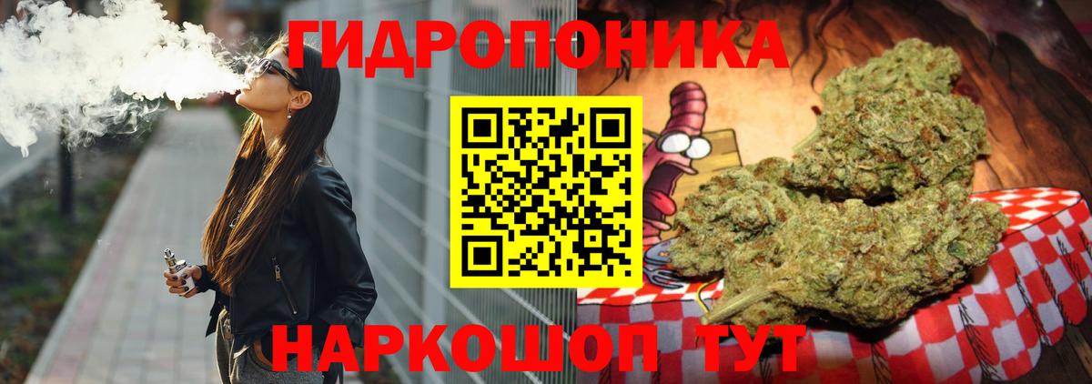 Бошки марихуана сатива Беслан